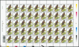 Collection / Collectie BUZIN (Oiseaux / Vogels) - Feuille F3379** (MNH) Planche, Plaatnummer 2 Date 2005 - 2001-2010