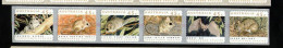 AUSTRALIA 1992 P&S Strip 6 45c Endangered Species PEMARA 3 Koala - Ask... Post Office+RED LINE End Of Roll. Lot AUS 323 - Mint Stamps