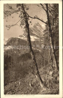 11653178 Braunwald GL Mit Ortstock Braunwald - Altri & Non Classificati