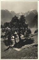 11653156 Braunwald GL  Braunwald - Altri & Non Classificati