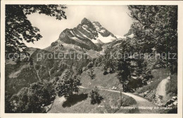 11653108 Braunwald GL Hoehenweg Braunwald - Sonstige & Ohne Zuordnung