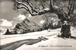 11653073 Braunwald GL Heuerbergli Mit Ortstock Braunwald - Autres & Non Classés