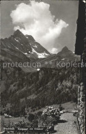 11653072 Braunwald GL Gysigeggli Mit Ortstock Braunwald - Altri & Non Classificati