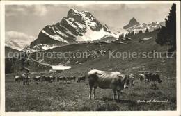 11653060 Braunwald GL Mit Kuehen Braunwald - Autres & Non Classés