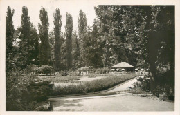 Germany Postcard Landau Tierpark - Other & Unclassified