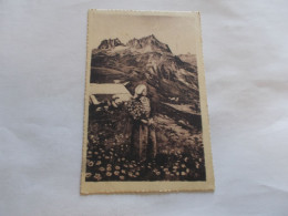 LES AIGUILLES DE L ARGENTIERE  VUES DU GLANDON ( 73 Savoie ) FEMME COSTUMES DES VILLARDS - Autres & Non Classés