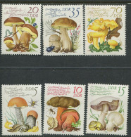 DDR:East Germany:Unused Stamps Serie Mushrooms, 1980, MNH - Mushrooms