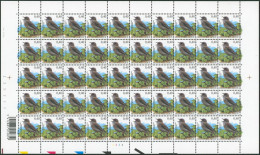 Collection / Collectie BUZIN (Oiseaux / Vogels) - Feuille F3265** (MNH) Planche, Plaatnummer 2 Date 2004 - 2001-2010