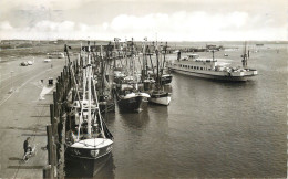 Germany Postcard Nordseeheilbad Norderney - Other & Unclassified