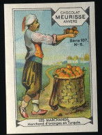 Meurisse - Ca 1930 - 107 - Les Marchands - 6 - Marchand D'oranges En Turquie - Altri & Non Classificati