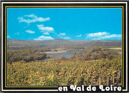 Vignes - Val De Loire - Vignoble Des Bords De Loire - CPM - Voir Scans Recto-Verso - Viñedos