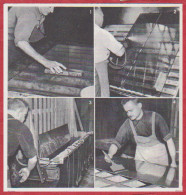 Fabrication D'un Miroir. Avivage, Argenture, Cuivrage Et Vernissage. Larousse 1960. - Documents Historiques