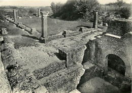 21 - Alise Sainte Reine - Fouilles D'Alesia - Le Monument à Crypte Probablement Sanctuaire Des Divinités Gauloises Ucuet - Autres & Non Classés