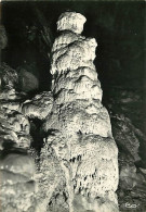 25 - Poudrey - Le Gouffre De Poudrey - Le Sapin Recouvert De Neige - Spéléologie - Curiosité Géologique - Mention Photog - Autres & Non Classés