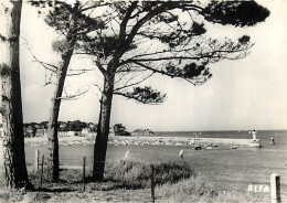 22 - Saint Quay Portrieux - Le Port Vu Du Port Esleu - CPSM Grand Format - Carte Neuve - Voir Scans Recto-Verso - Saint-Quay-Portrieux