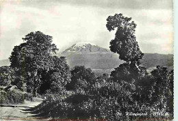 Tanzanie - Mont Kilimandjaro - Carte Neuve - CPM - Voir Scans Recto-Verso - Tanzanía