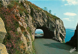 88 - Vosges - La Schlucht - Le Tunnel De La Schlucht - Carte Neuve - CPM - Voir Scans Recto-Verso - Sonstige & Ohne Zuordnung