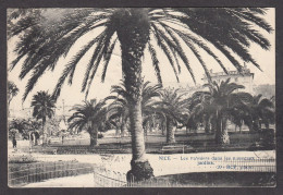 084531/ NICE, Les Palmiers Dans Les Nouveaux Jardins - Parques, Jardines