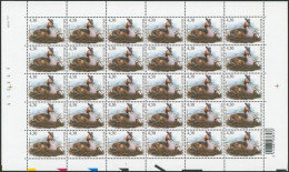 Collection / Collectie BUZIN (Oiseaux / Vogels) - Feuille F3538** (MNH) X30 Planche, Plaatnummer 1 Date 2006. Rare - 2001-2010