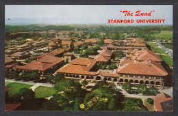 114961/ STANDORD, University, The Quadrangle - Autres & Non Classés