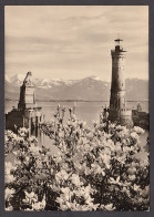 075945/ LINDAU, Magnolienblüte Am Hafen, Blick Vom Hotel Reutemann - Lindau A. Bodensee