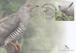 ESTONIA 2024- Bird Of The Year-the Common Cuckoo (25.04.24) - Estonia