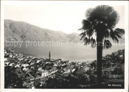 11652388 Ascona TI Panorama Ascona - Autres & Non Classés