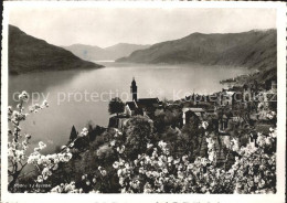 11652316 Ronco TI Panorama Lago Maggiore  - Other & Unclassified