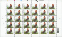 Collection / Collectie BUZIN (Oiseaux / Vogels) - Feuille F3140** (MNH) X30 Planche, Plaatnummer 1 Date 2002. Rare - 2001-2010