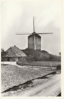 Zeddam Korenmolen Torenmolen   4409 - Altri & Non Classificati