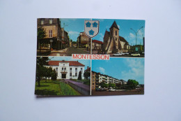 MONTESSON  -  78  -  Multivues  -  Yvelines - Montesson