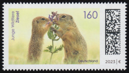 3782 Junge Wildtiere: Ziesel, Postfrisch ** / MNH - Ungebraucht