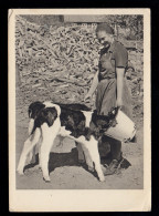 Foto-AK Tiere: Bäuerin Bei Der Fütterung Von Kälbern, SSt FALLERSLEBEN 28.7.1941 - Otros & Sin Clasificación