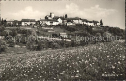 11651961 Regensberg Dielsdorf Gesamtansicht Mit Schloss Sommerwiese Regensberg - Other & Unclassified