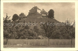 11651935 Emmishofen Schloss Girsberg Kreuzlingen - Andere & Zonder Classificatie