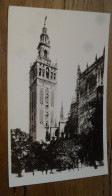 Carte Photo Sévilla   ............... BE2-19042 - Sevilla (Siviglia)