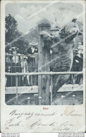 Bd48 Cartolina Bear Orso 1904 - Altri & Non Classificati
