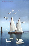 11651645 Geneve GE Barque Du Lac Leman Et Cygnes Phare Geneve - Andere & Zonder Classificatie