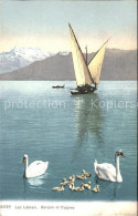 11651577 Lac Leman Genfersee Barque Et Cygnes Dents Du Midi Alpes Genf - Andere & Zonder Classificatie