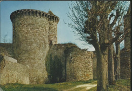 Chevreuse - Le Château De Chevreuse - La Madeleine - (P) - Chevreuse