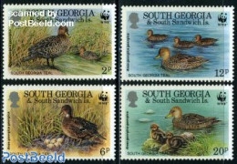 South Georgia / Falklands Dep. 1992 WWF, Ducks 4v, Mint NH, Nature - Birds - Ducks - World Wildlife Fund (WWF) - Autres & Non Classés