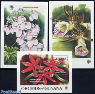 Guyana 1990 Orchids 3 S/s, Mint NH, Nature - Flowers & Plants - Orchids - Guiana (1966-...)