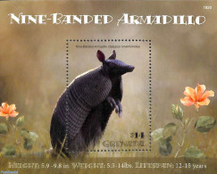 Grenada 2019 Nine-Banded Armadillo S/s, Mint NH, Nature - Animals (others & Mixed) - Autres & Non Classés