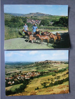 CP 18 Cher  Coteau De SANCERRE  Chavignol  Chevrières  - Lot De 2 Cartes Postales - Sancerre