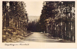 Sommerfrische Und Wintersportplatz Steinheid /Thür.Wald Gel.1954 SST - Neuhaus