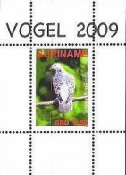 Suriname Surinam 2009 Birds Streptopelia Orientalis Block MNH - Duiven En Duifachtigen