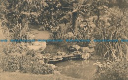 R015349 Anvers. Jardin Zoologique. La Cascade. Ern. Thill. Nels - Monde