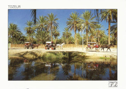 *CPM - TUNISIE - TOZEUR - La Promenade Dans L'oasis - Tunesië