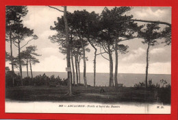 (RECTO / VERSO) ARCACHON - N° 362 - FORET ET BORD DU BASSIN - CPA - Arcachon