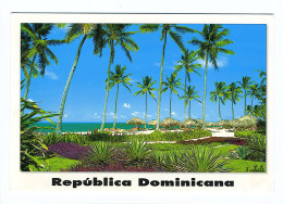 REPUBLICA DOMINICANA - Plage - República Dominicana